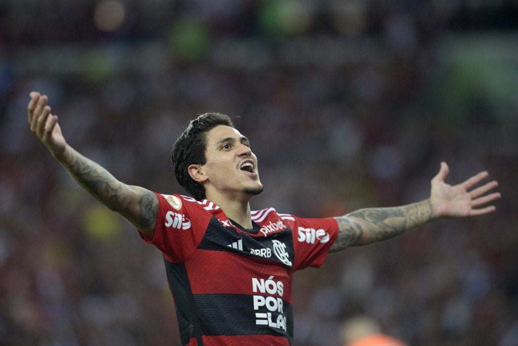 Com ótimos números, Pedro é o artilheiro do Flamengo em 2024 - Foto: Dhavid Normando/Futura Press/Estadão Conteúdo