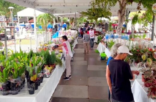 Feira de Flores de Holambra segue em Manaus até este domingo