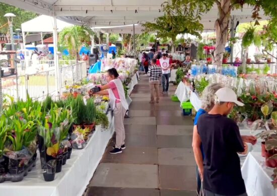 Feira de Flores de Holambra segue em Manaus até este domingo