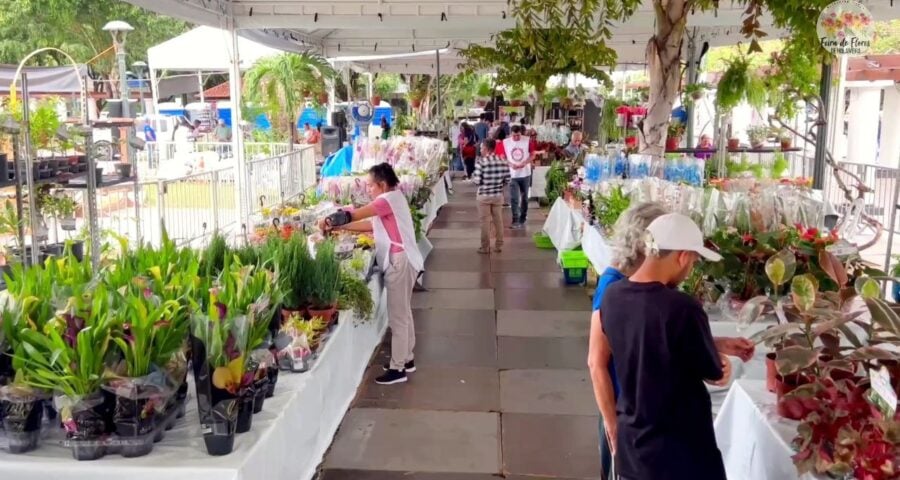 Feira de Flores de Holambra segue em Manaus até este domingo