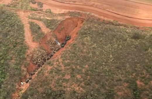 Governo do TO pede rapidez para solucionar crime ambiental