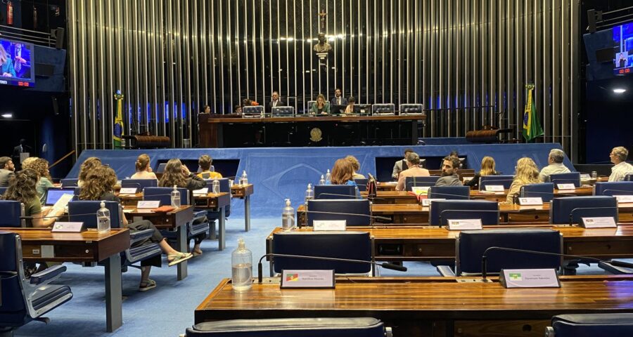 Plenário do Senado federal- Foto: Juliana D’Almeida