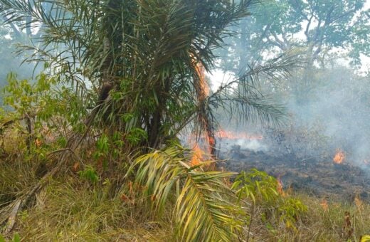 INCÊNDIO PARINTINS - FOTO: CBMAM