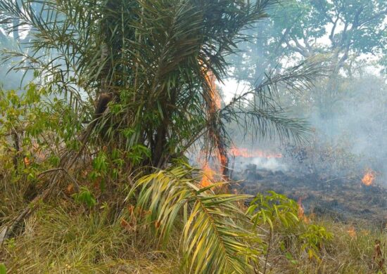 INCÊNDIO PARINTINS - FOTO: CBMAM