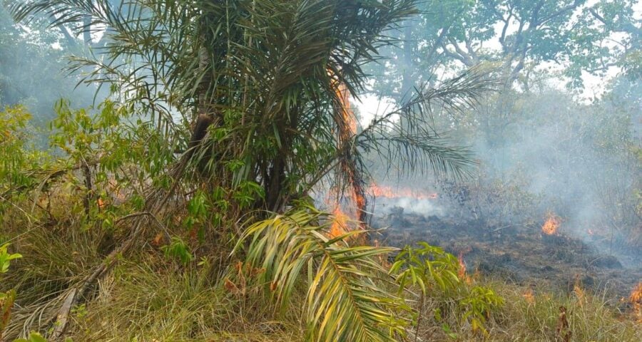 INCÊNDIO PARINTINS - FOTO: CBMAM