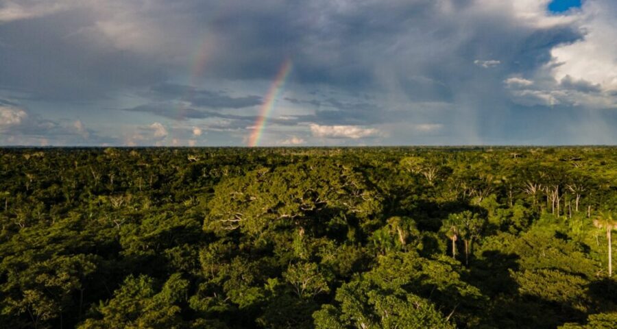 Para reduzir desmatamento, Acre lança planos de proteção ao meio ambiente 