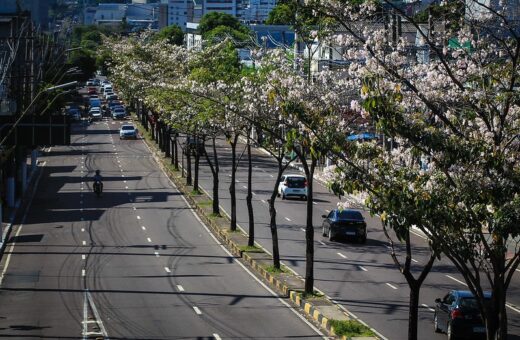 Manaus é escolhida para a implantação de projeto ambiental da ONU