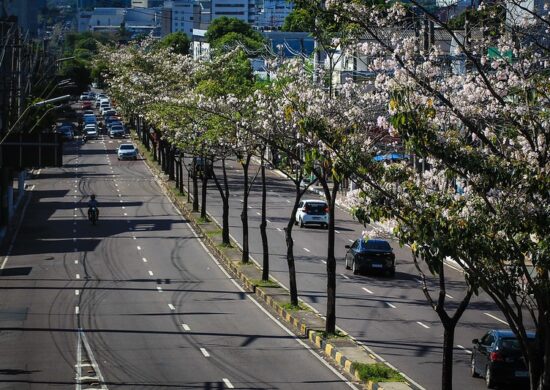 Manaus é escolhida para a implantação de projeto ambiental da ONU