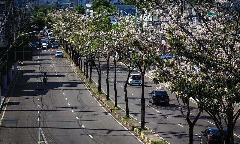 Manaus é escolhida para a implantação de projeto ambiental da ONU