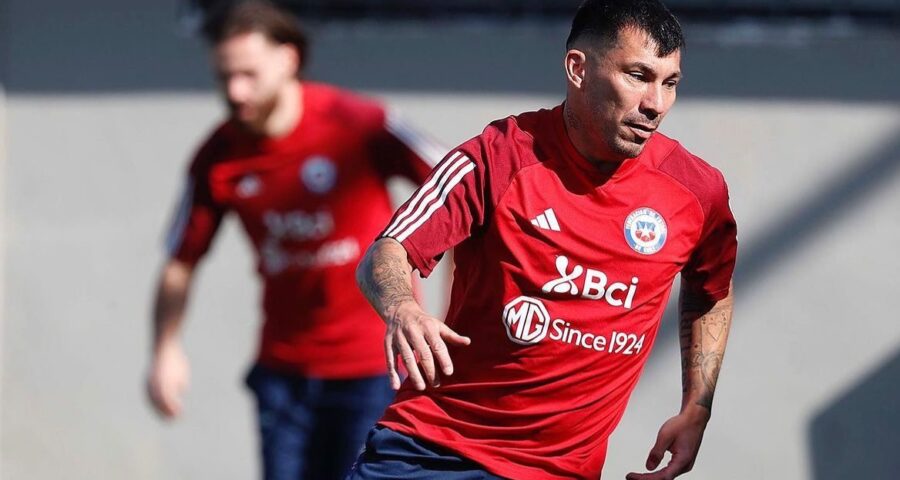 Vasco comemora momento Medel leva cartão pela seleção chilena - Foto: Reprodução / Instagram@laroja