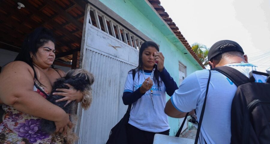 Campanha de vacinação antirrábica animal segue até dia 12 de dezembro - Foto: Artur Barbosa / Semsa