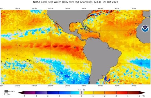 ONU estima que fenômeno El Niño pode durar pelo menos até abril de 2024