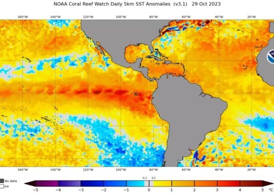 ONU estima que fenômeno El Niño pode durar pelo menos até abril de 2024