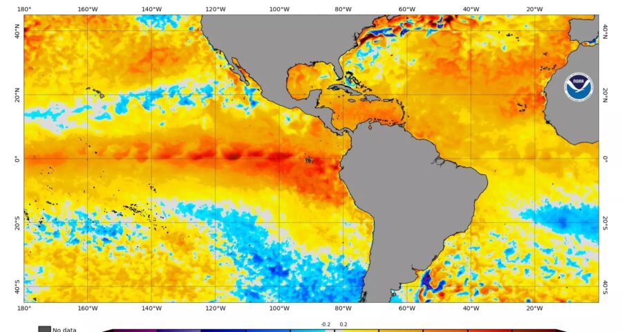 ONU estima que fenômeno El Niño pode durar pelo menos até abril de 2024