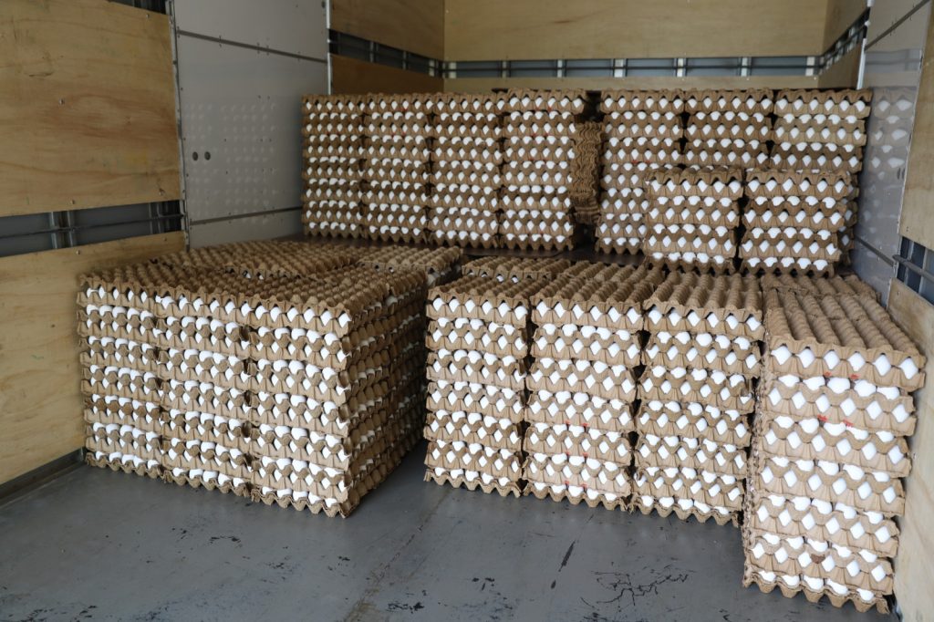 Fraude nos ovos e no agrotóxico foram constatadas durante fiscalizações - Foto: Divulgação/Adaf