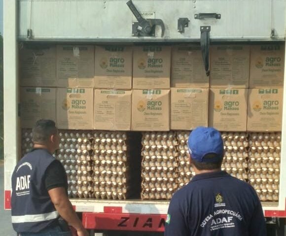 Fraude nos ovos e no agrotóxico foram constatadas durante fiscalizações - Foto: Divulgação/Adaf