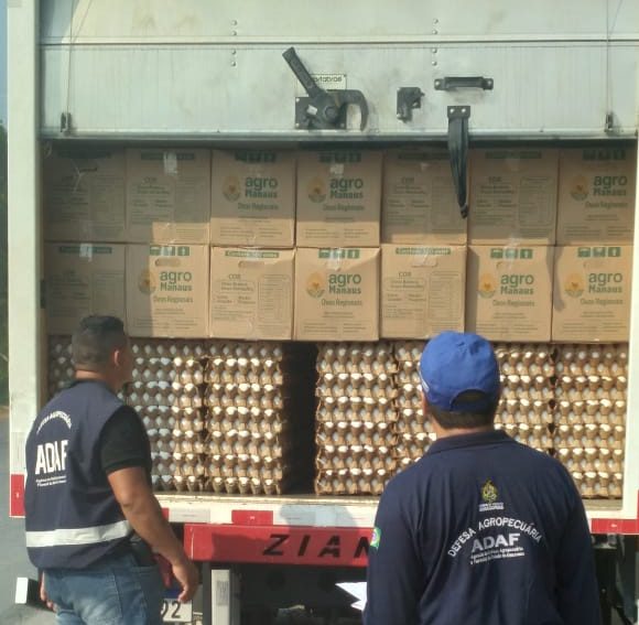 Fraude nos ovos e no agrotóxico foram constatadas durante fiscalizações - Foto: Divulgação/Adaf