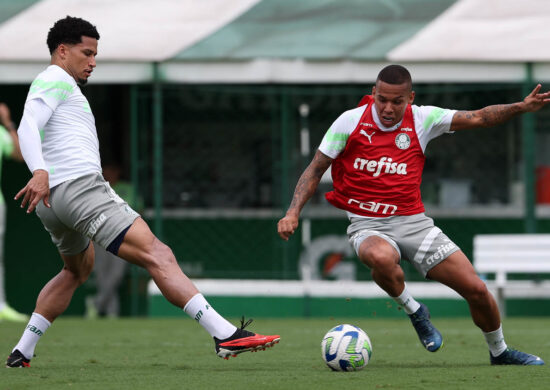 Palmeiras se prepara para o jogo diante do Fortaleza no próximo domingo (26) - Foto: Reprodução/Cesar Greco/Palmeiras/by Canon