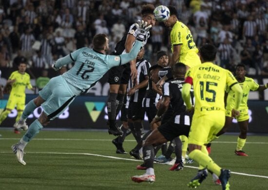 Palmeiras vence o Botafogo e triplica chances de se tornar o líder do Brasileirão - Foto: Reprodução/Delmiro Junior/Agência O Dia/Agência O Dia/Estadão Conteúdo