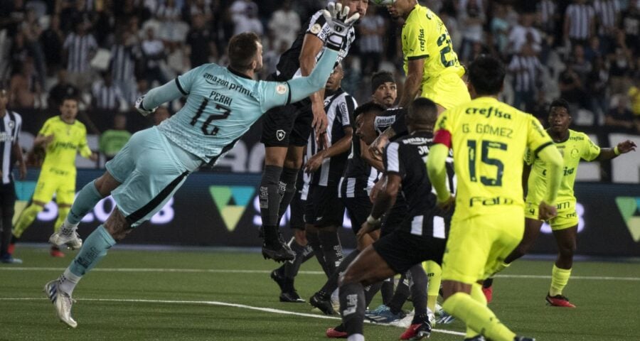 Palmeiras vence o Botafogo e triplica chances de se tornar o líder do Brasileirão - Foto: Reprodução/Delmiro Junior/Agência O Dia/Agência O Dia/Estadão Conteúdo