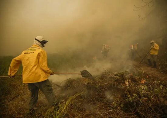 Pantanal incêndios cercam rodovias e destruição chega a 950 mil hectares