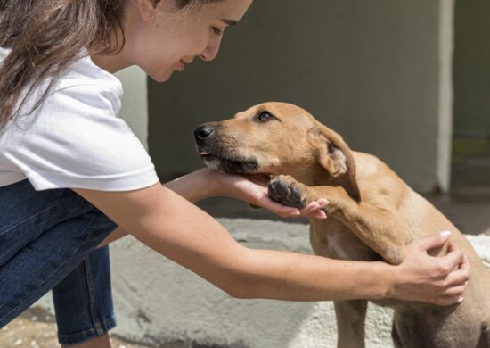 Pet Day ocorre sábado (2) e domingo (3) - Foto: Divulgação