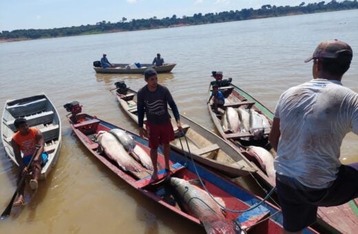 Pirarucu foi apreendido em uma embarcação no Rio Solimões - Fotos: Divulgação/SSP-AM