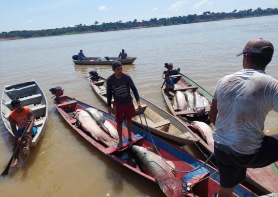 Pirarucu foi apreendido em uma embarcação no Rio Solimões - Fotos: Divulgação/SSP-AM