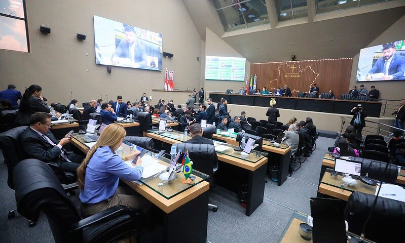 Plenário da Assembleia deputados distorcem fala de Marina ao repudiar ministra