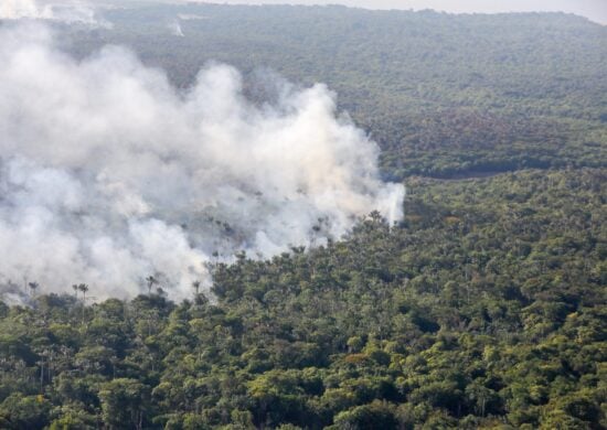 Amazonas teve um aumento de queimadas nos últimos meses - Foto: Alex Pazuello/Secom