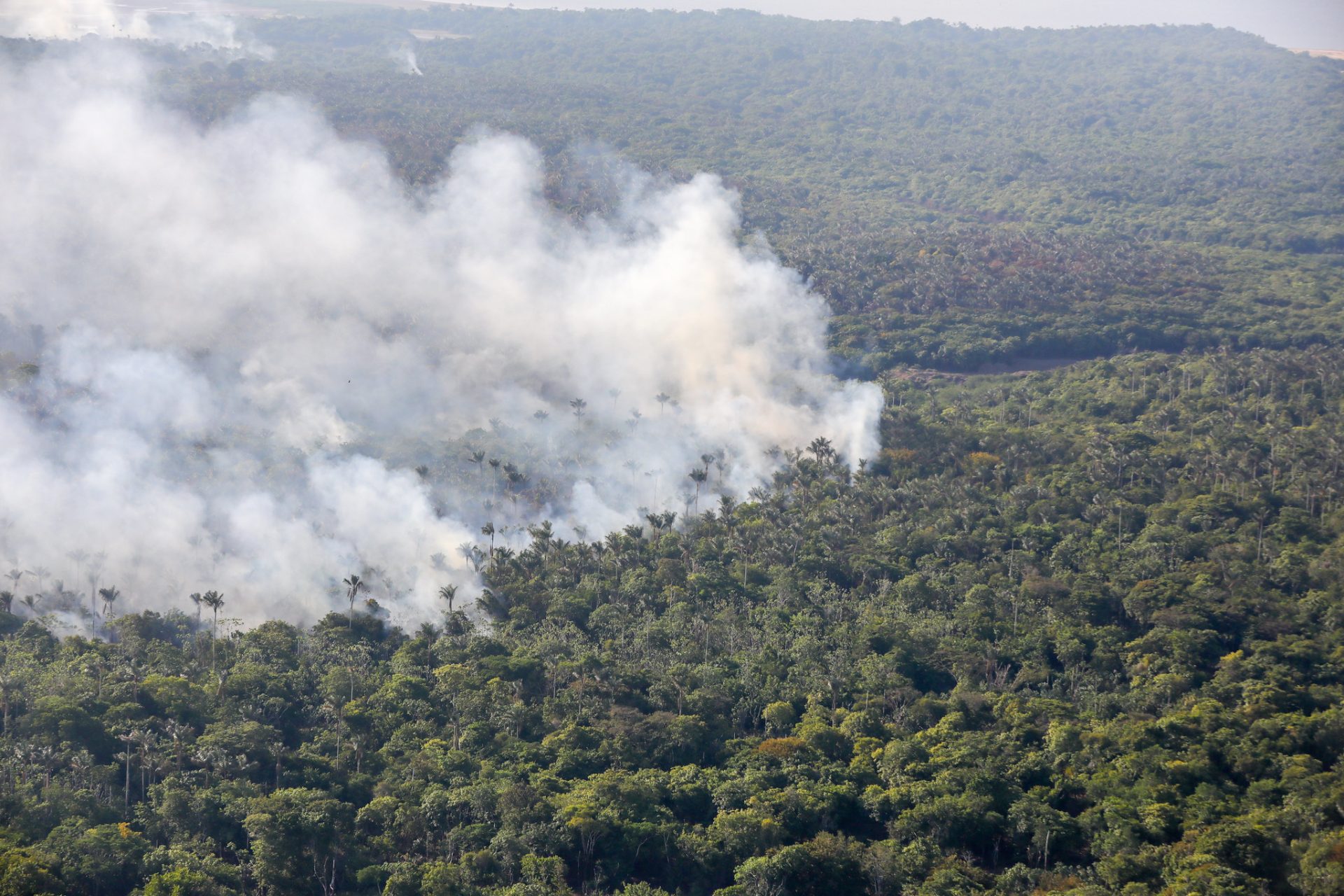 Amazonas teve um aumento de queimadas nos últimos meses - Foto: Alex Pazuello/Secom