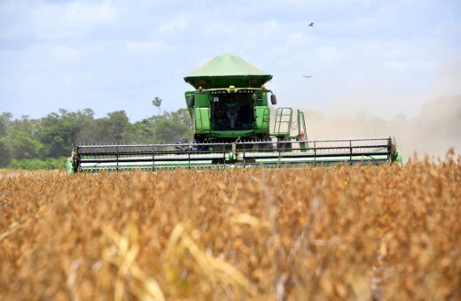 Criação de empregos no setor agropecuário tem aumento de 21% em RR