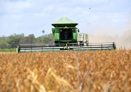 Criação de empregos no setor agropecuário tem aumento de 21% em RR