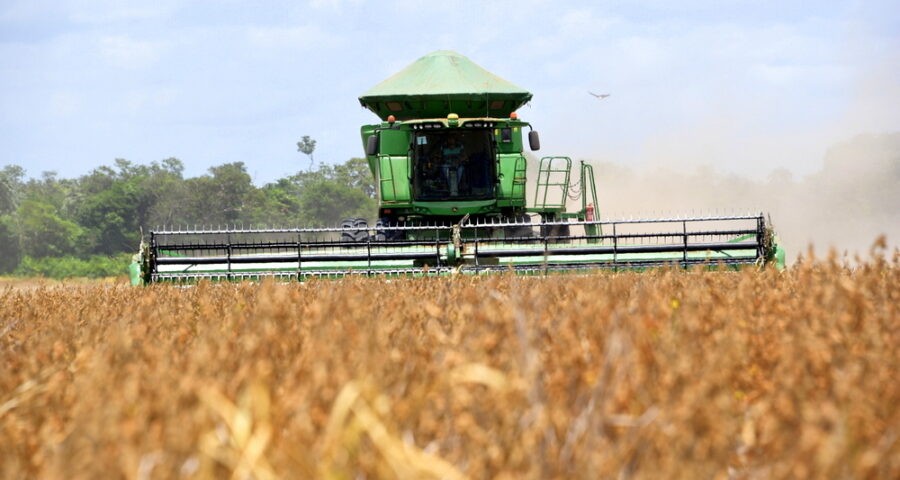 Criação de empregos no setor agropecuário tem aumento de 21% em RR