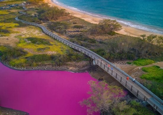 Lago no Havaí fica rosa devido à alta concentração de sal na água