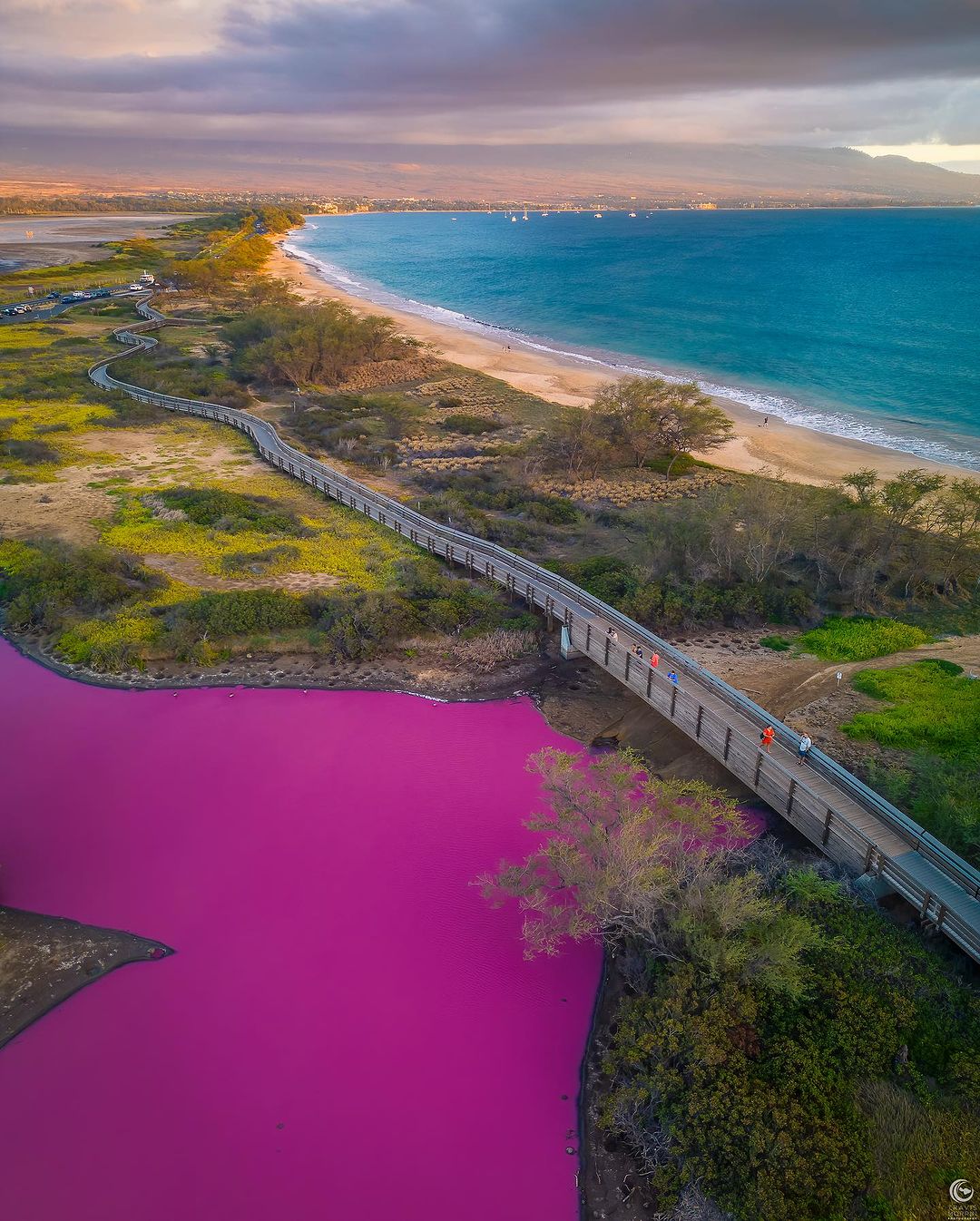 Lago no Havaí fica rosa devido à alta concentração de sal na água