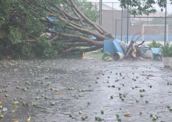 TO registra altas temperaturas e tempestade de raios no mesmo dia