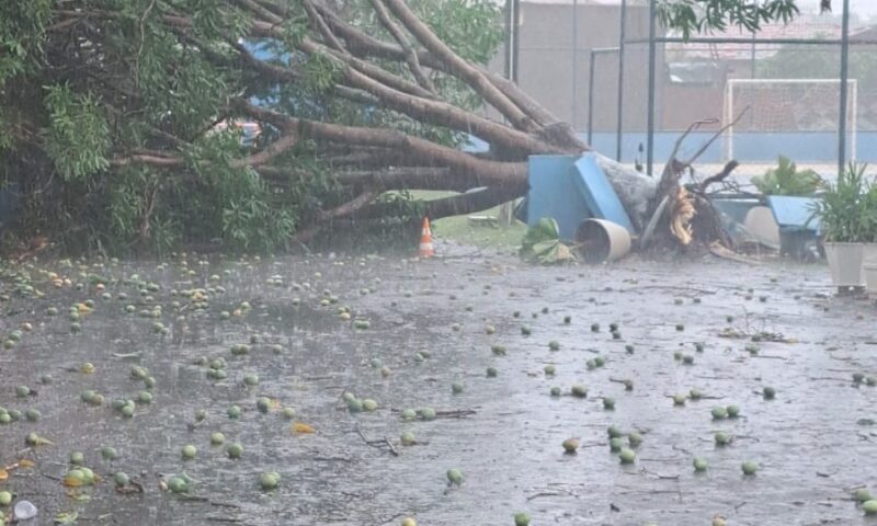 TO registra altas temperaturas e tempestade de raios no mesmo dia