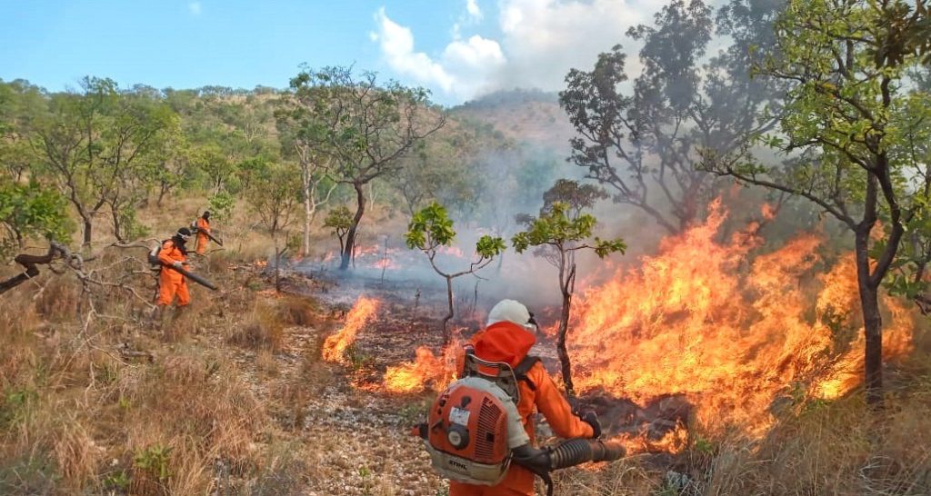 incêndio em Roraima
