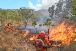 incêndio em Roraima