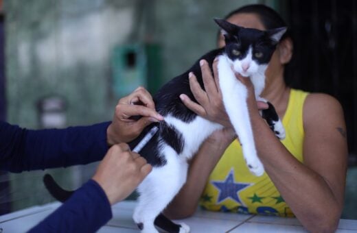 Vacinação antirrábica chega a 23 bairros em Manaus; confira