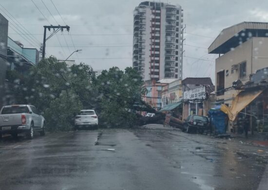 Até meio-dia desta segunda (27), chuva provocou oito ocorrências - Foto: Reprodução/WhatsApp