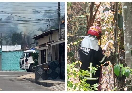 Incêndio em vegetação é controlada por bombeiros - Foto: Divulgação/CBMAM