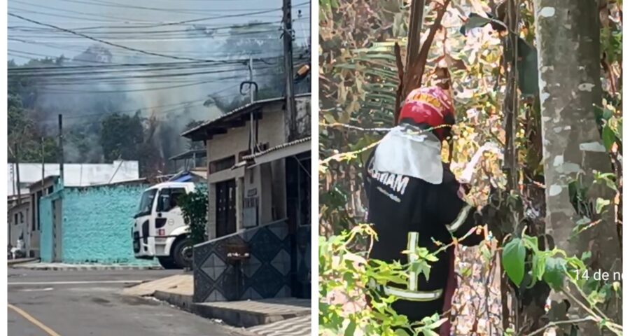 Incêndio em vegetação é controlada por bombeiros - Foto: Divulgação/CBMAM