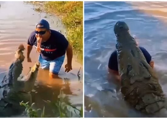 video-homem-viraliza-crocodilo-carne-com-a-boca-foto-reproducao-redes-sociais