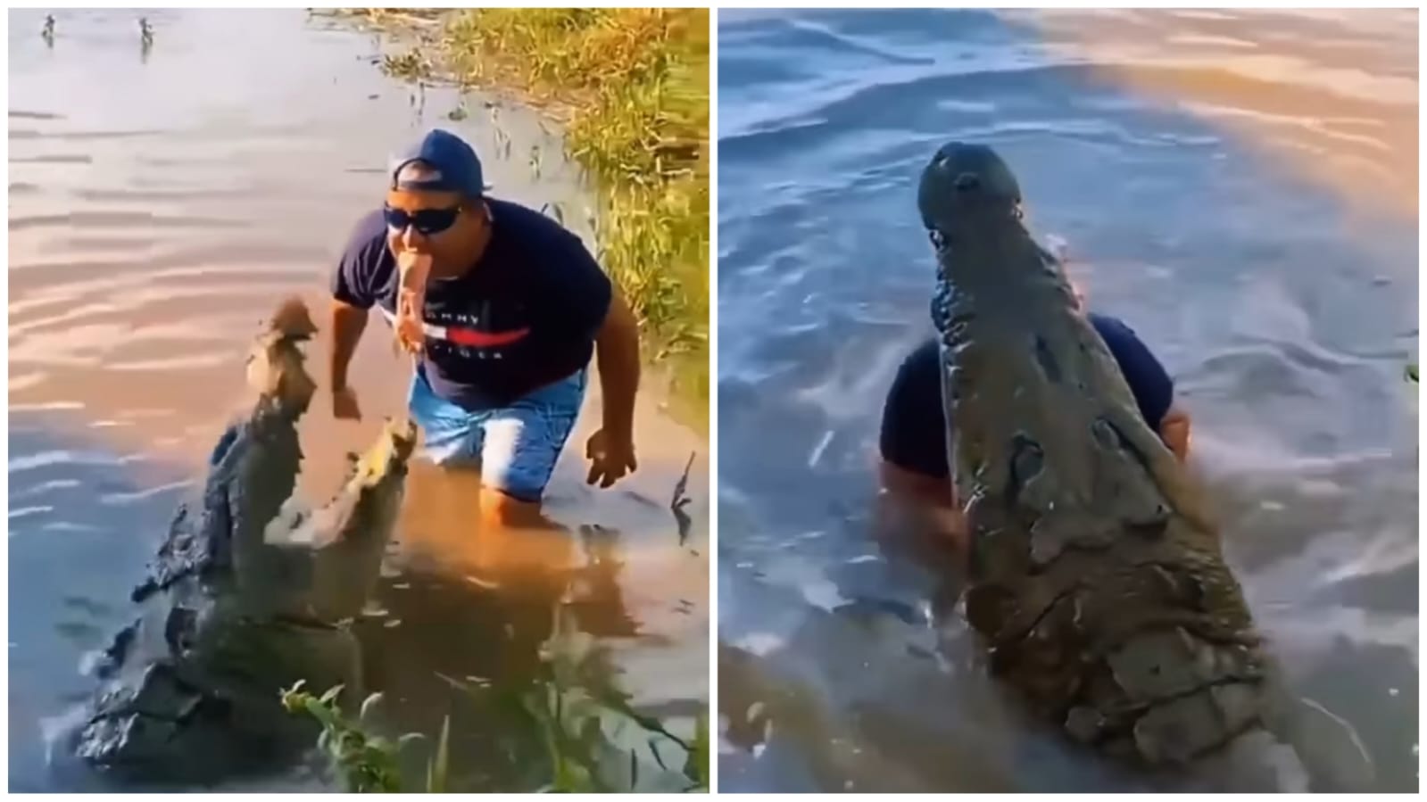 video-homem-viraliza-crocodilo-carne-com-a-boca-foto-reproducao-redes-sociais