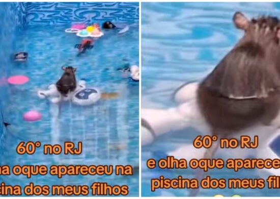 Ratos estavam na piscina dos filhos de Juliane - Foto: Reprodução/TikTok/@julianeleite14