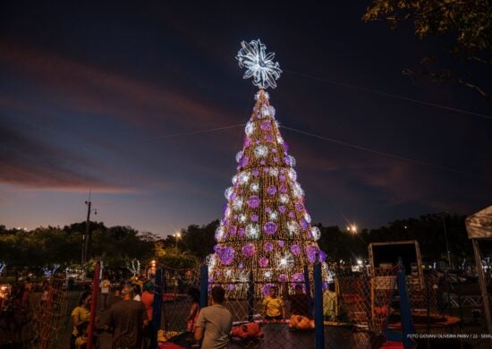 Árvores de natal gigantes são tradicionais em Boa Vista - Foto: Semuc/PMBV