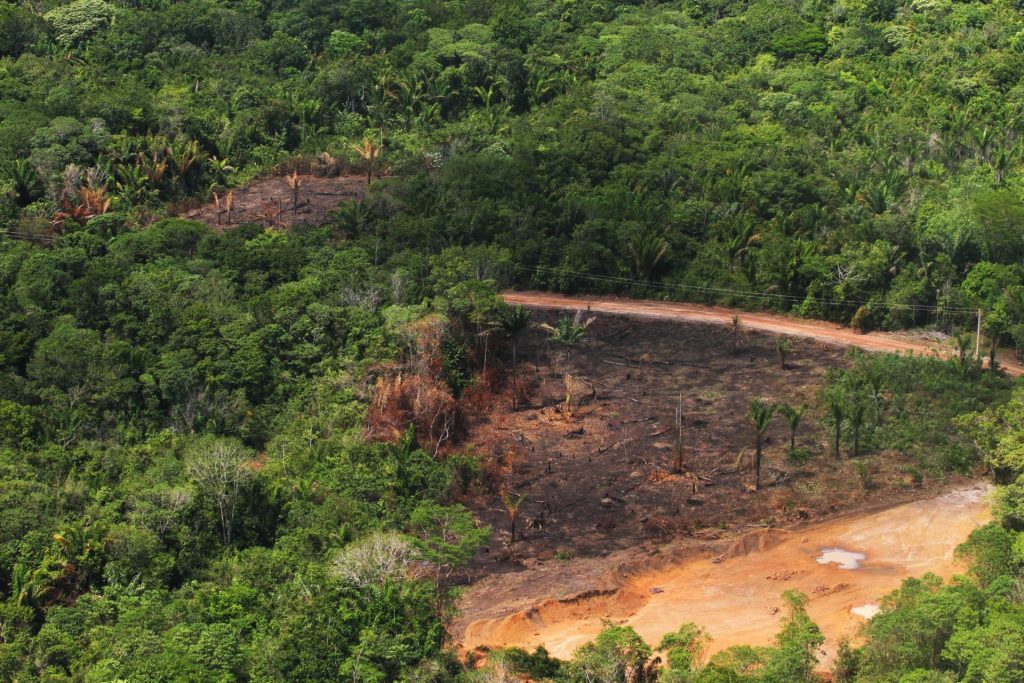 Área de desmatamento (COP28/BNDES)da floresta amazônica no Pará - Foto: Cristino Martins/Agência Pará