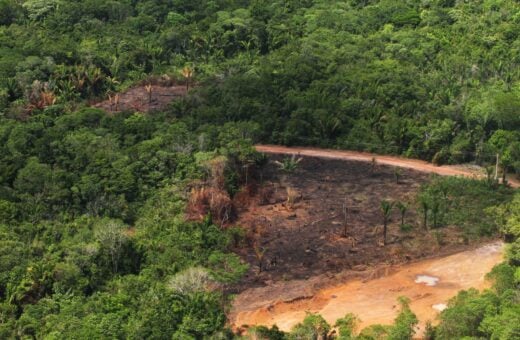 Área de desmatamento (COP28/BNDES)da floresta amazônica no Pará - Foto: Cristino Martins/Agência Pará